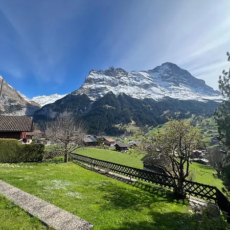 Apartment Deer Grindelwald Exterior photo
